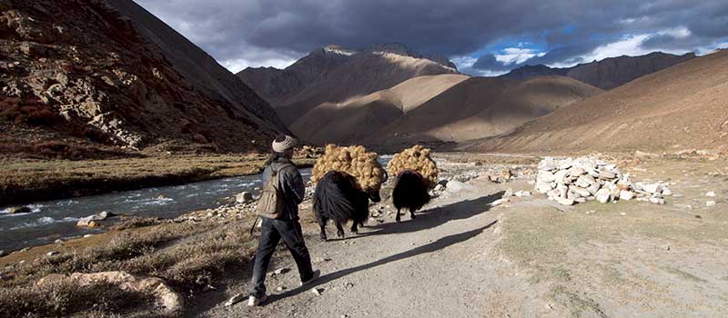 upper-dolpo-trek 