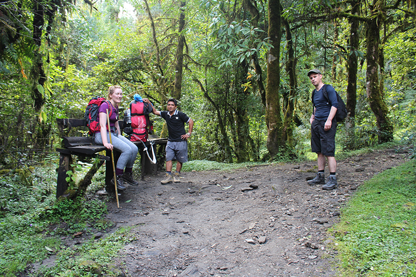 Forest-on-way-to-Annapurna 