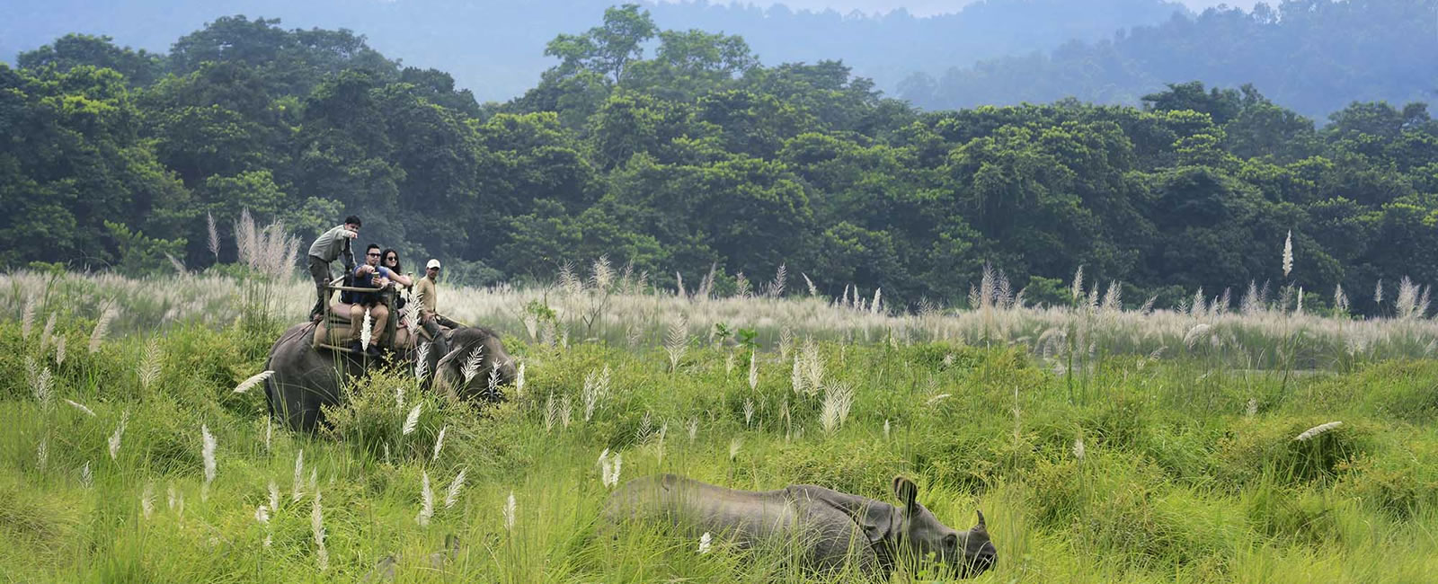 jungle-safari-nepal 