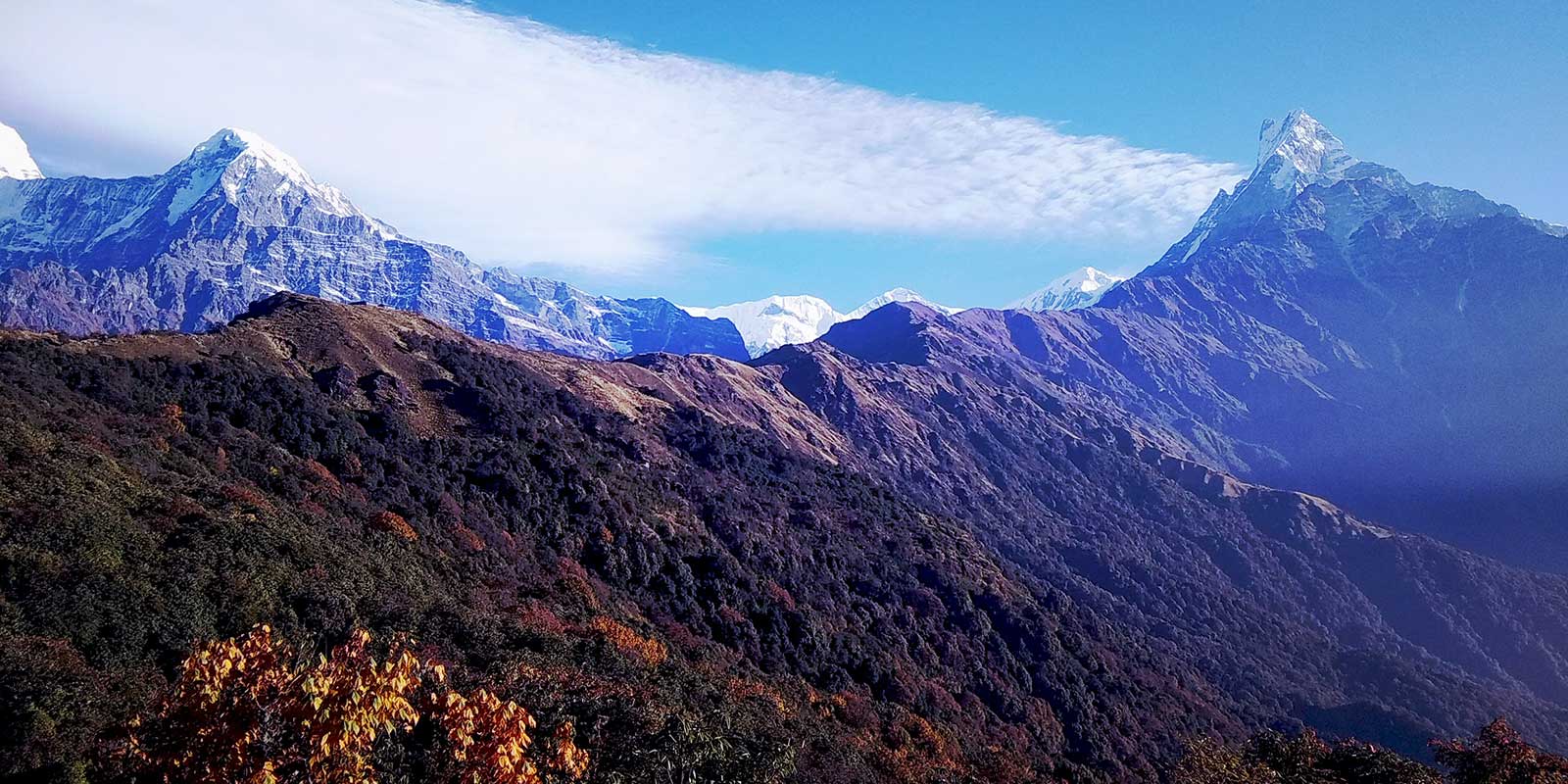 mardi-view.jpg