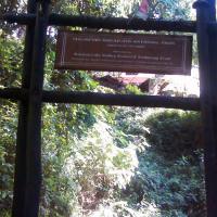 shivapuri-nagarkot-dhulikhel-namobuddha-panauti-trek 